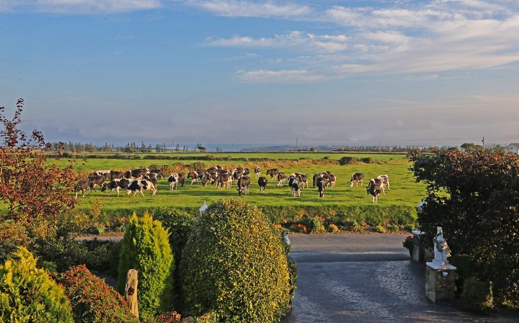 Hotel Newtown Farm Country House Ardmore  Exterior foto