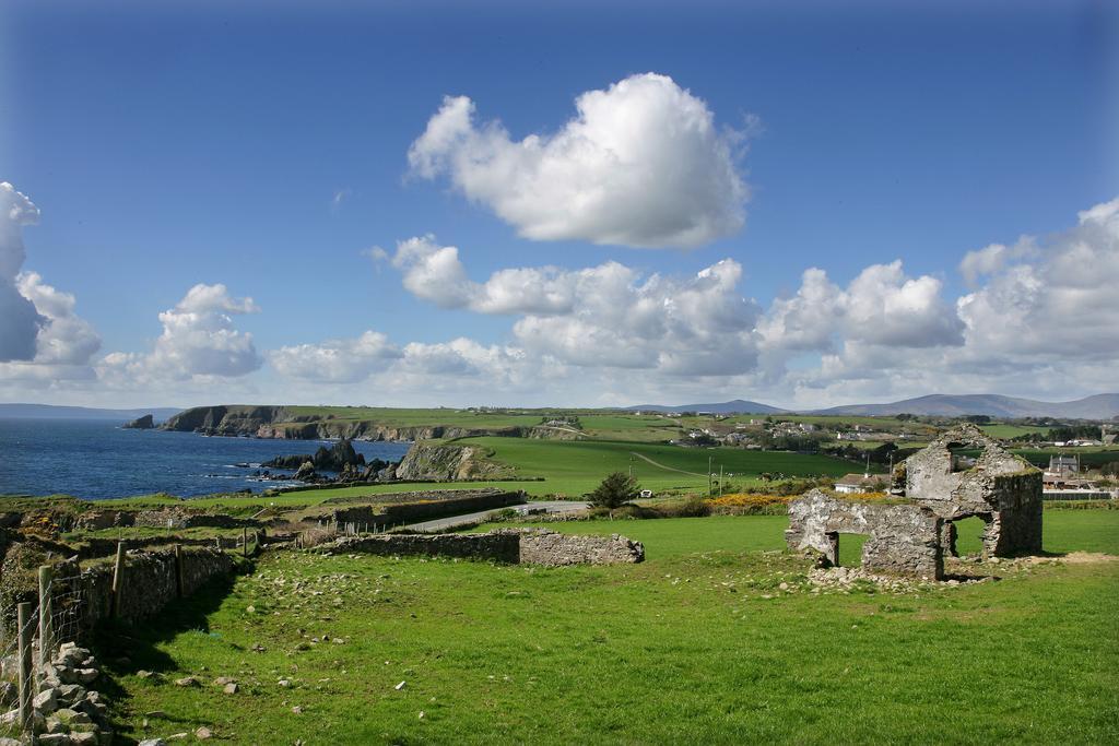 Hotel Newtown Farm Country House Ardmore  Exterior foto