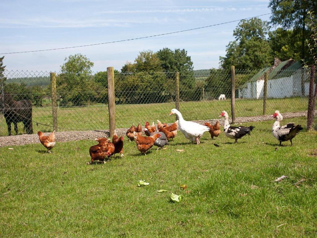 Hotel Newtown Farm Country House Ardmore  Exterior foto